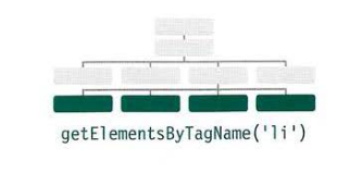 getElementsByTagName